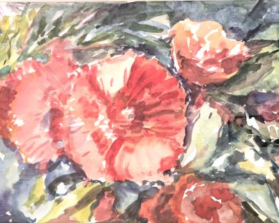 Григорьева Э. «Мальва» Бумага, акварель, 40х30см, 2015г.